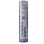 Chamomilla vulgaris is a pain medicine. It is indicated for neuralgic or spasmodic pains. This homeopathic strain is widely used in young children during teething or behavioral problems.