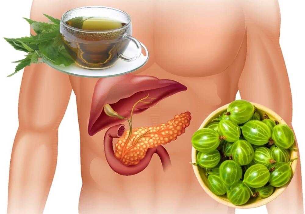 THE LIVER – HOW TO KEEP IT HEALTHY