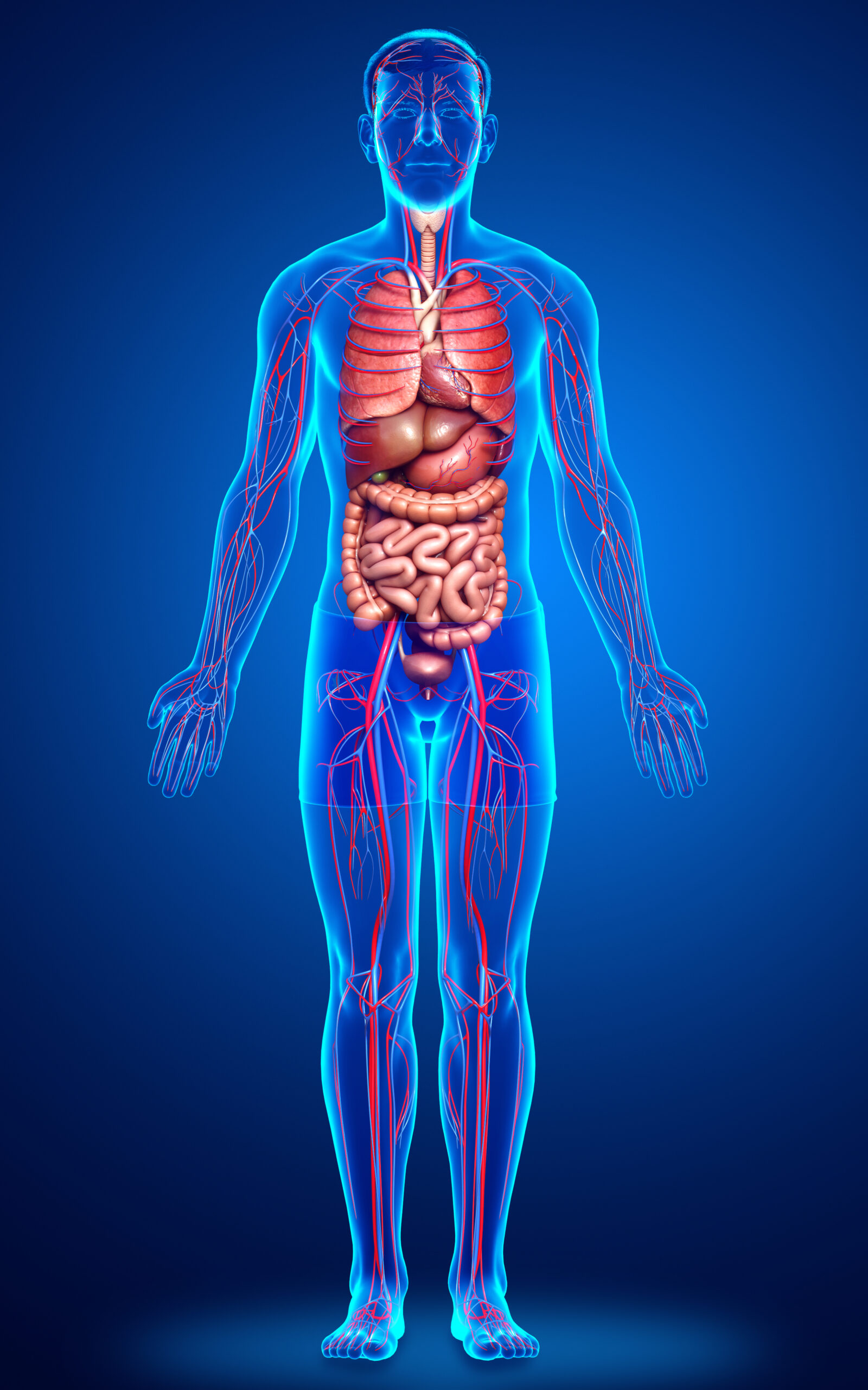 All About Body and Soul