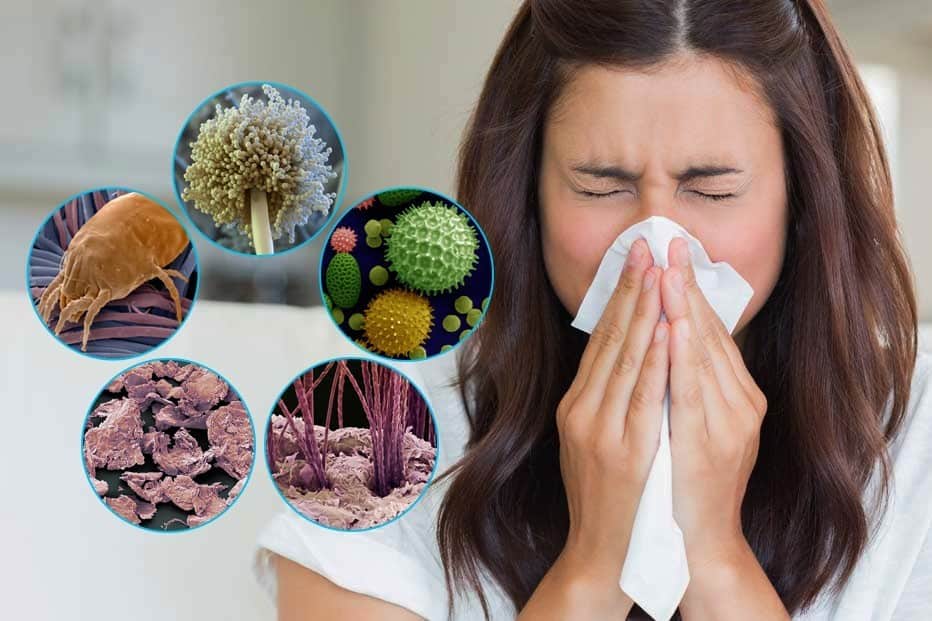 How to Prepare for Allergy Season
