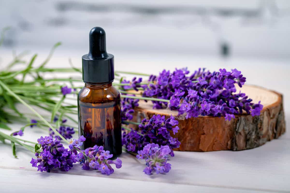 How Essential Oils Affect Health