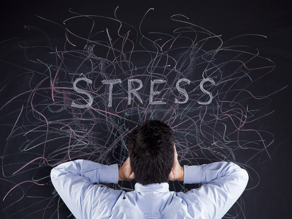 Herbs and Plant-Based Remedies for Stress, Insomnia, and Pain